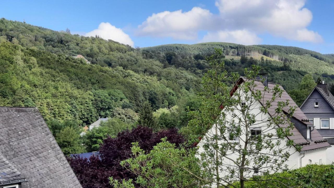 Yalet Ferienhaus 2 Appartementen Vlakbij Willingen Brilon-Wald Eksteriør bilde