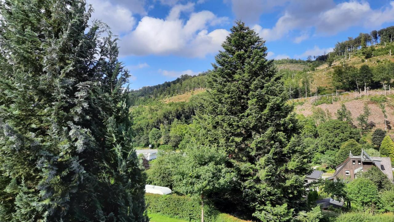 Yalet Ferienhaus 2 Appartementen Vlakbij Willingen Brilon-Wald Eksteriør bilde
